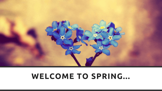 Welcome to Spring, RedRite, Leeds, Virtual Assistant
